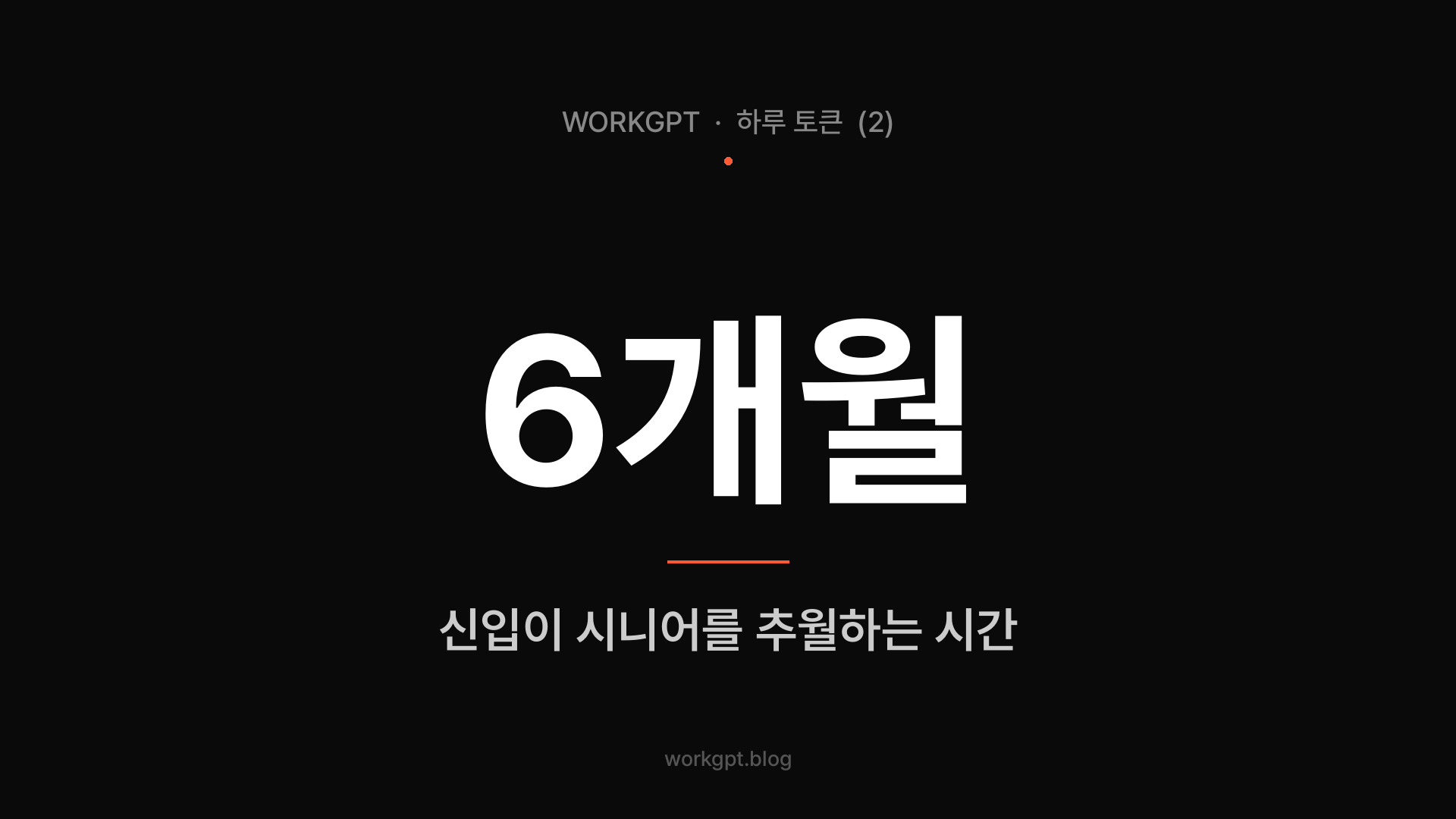 6개월 — 신입이 시니어를 추월하는 시간